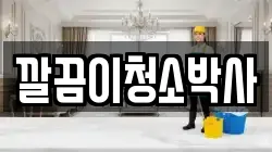 깔끔이청소박사