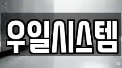 우일시스템