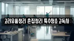 고려유품정리 촌집정리 특수청소 고독사