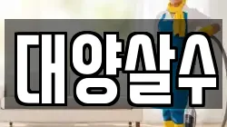 대양살수
