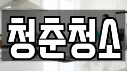 청춘청소