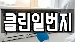 클린일번지