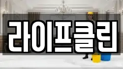 라이프클린