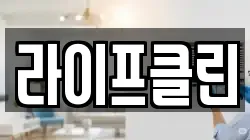 라이프클린