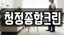 청정종합크린