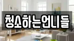 청소하는언니들