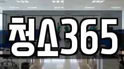 청소365
