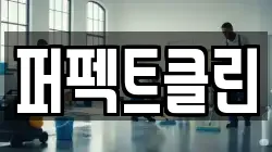 퍼펙트클린