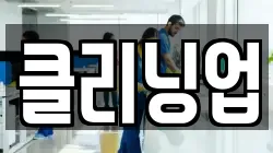 클리닝업