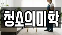 청소의미학