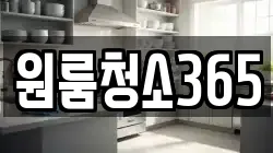 원룸청소365