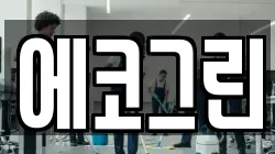 에코그린