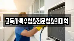 고독사특수청소전문청소의미학