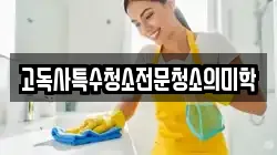 고독사특수청소전문청소의미학