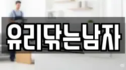 유리닦는남자