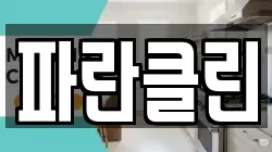 파란클린