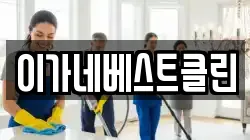이가네베스트클린