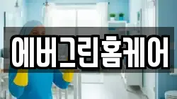 에버그린홈케어