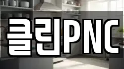 클린PNC
