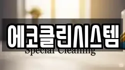 에코클린시스템