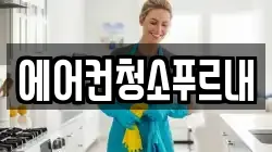 에어컨청소푸르내