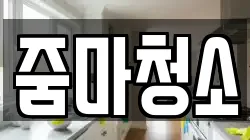 줌마청소