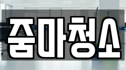 줌마청소