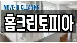 홈크린토피아