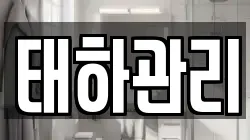 태하관리