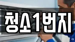 청소1번지