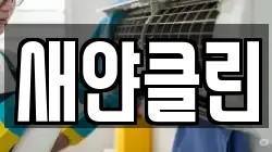 새얀클린