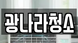광나라청소