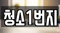 청소1번지