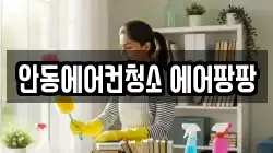 안동에어컨청소 에어팡팡