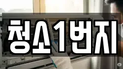 청소1번지