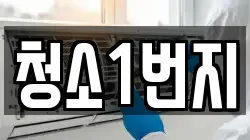 청소1번지