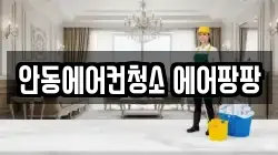안동에어컨청소 에어팡팡
