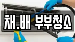 채.배 부부청소