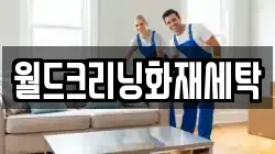 월드크리닝화재세탁