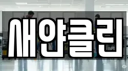 새얀클린