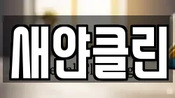 새얀클린