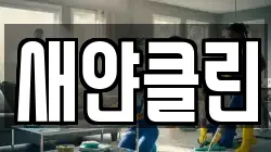 새얀클린
