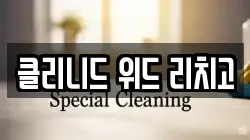 클리니드 위드 리치고
