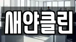 새얀클린