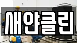 새얀클린