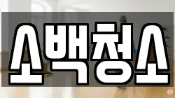 소백청소