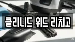 클리니드 위드 리치고