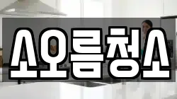 소오름청소