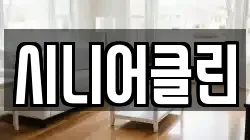 시니어클린