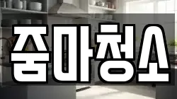 줌마청소